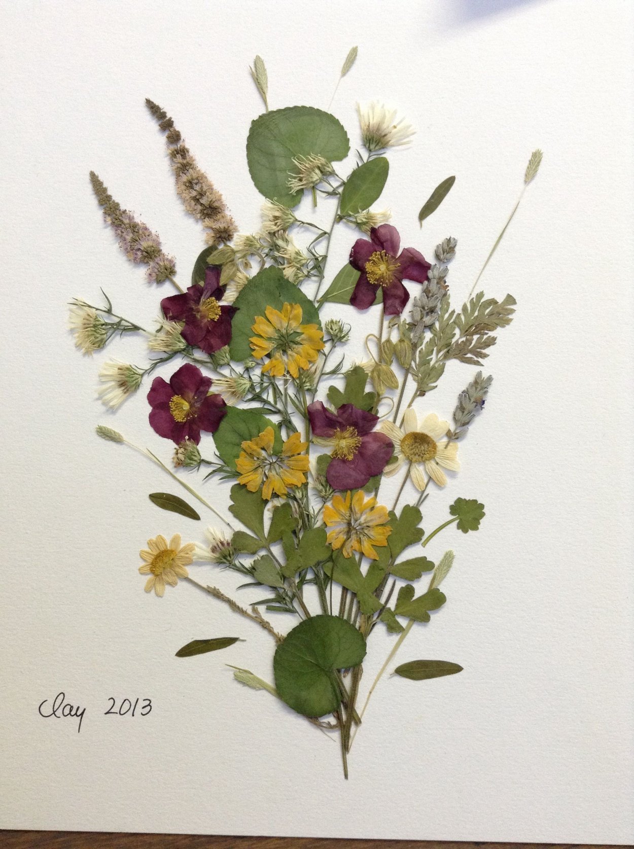 Herbarium Flower