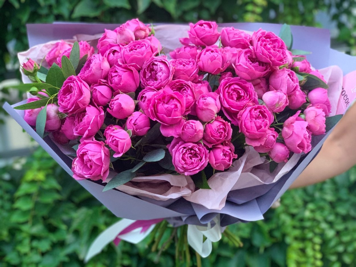 Мисти Баблс роза