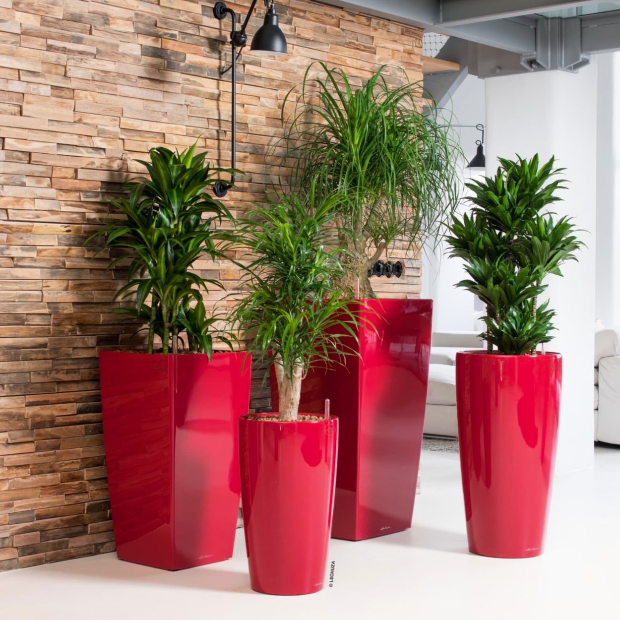 Кашпо Лечуза Lechuza