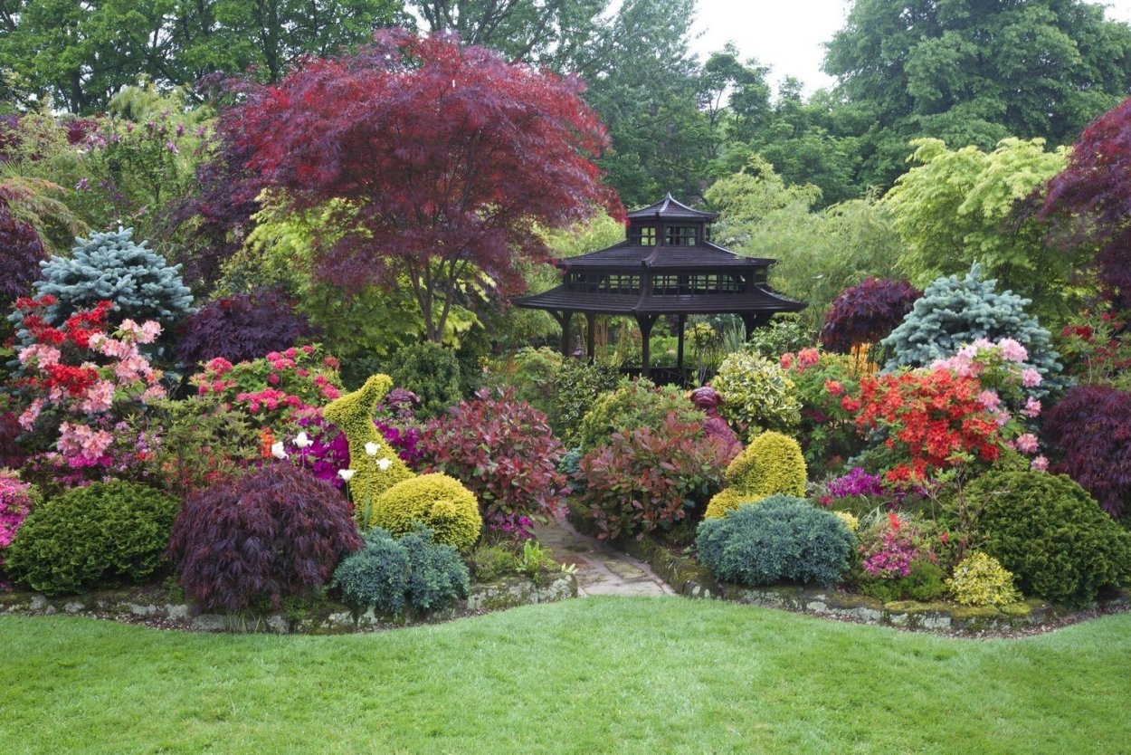 Сады рододендронов в Англии