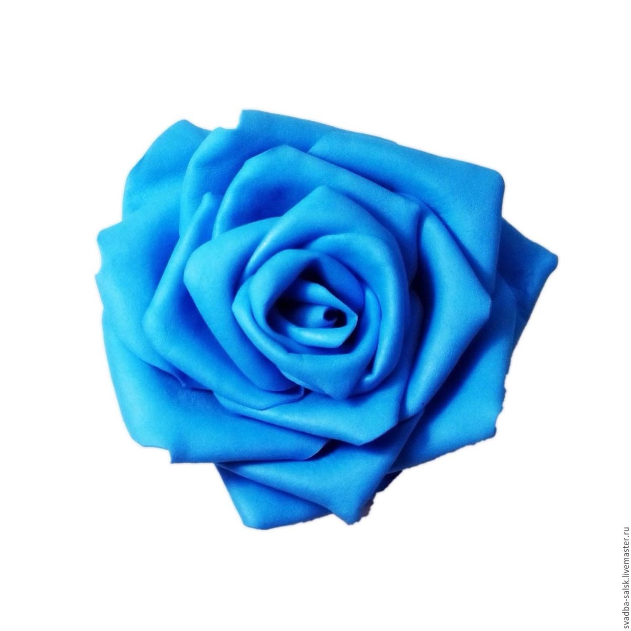 Роза голубая Лагуна