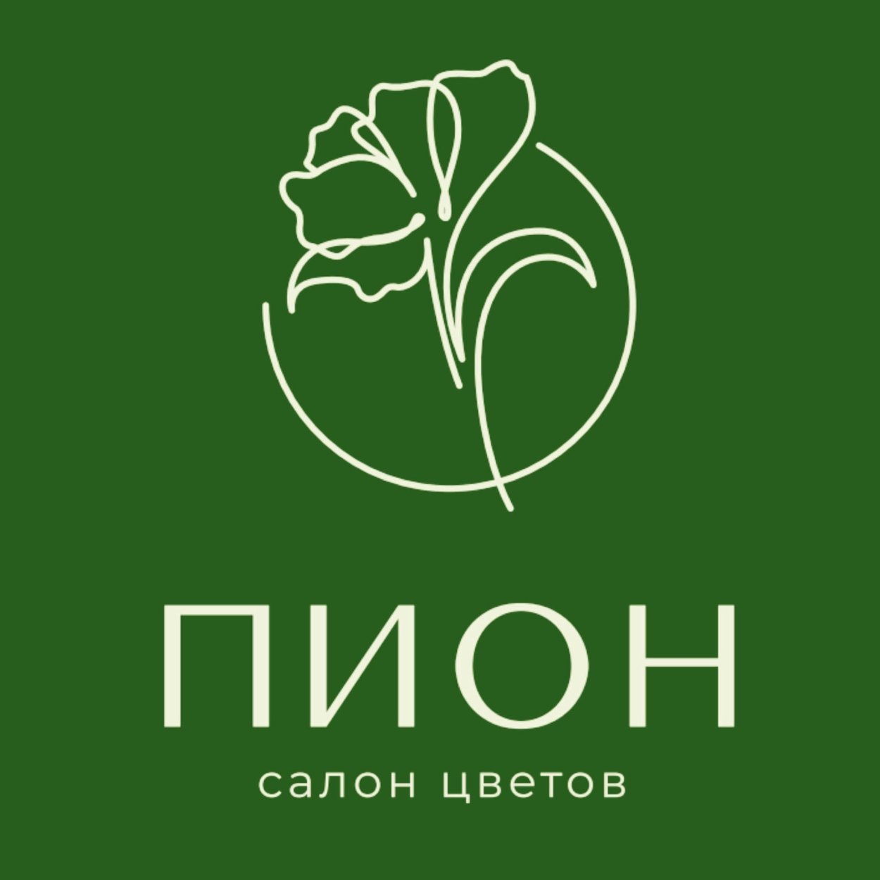 Бьюти студия пион Пенза-