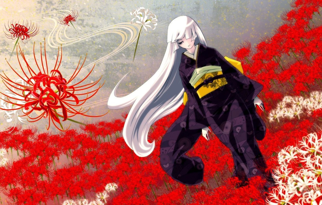 Ликорис Лучистый аниме