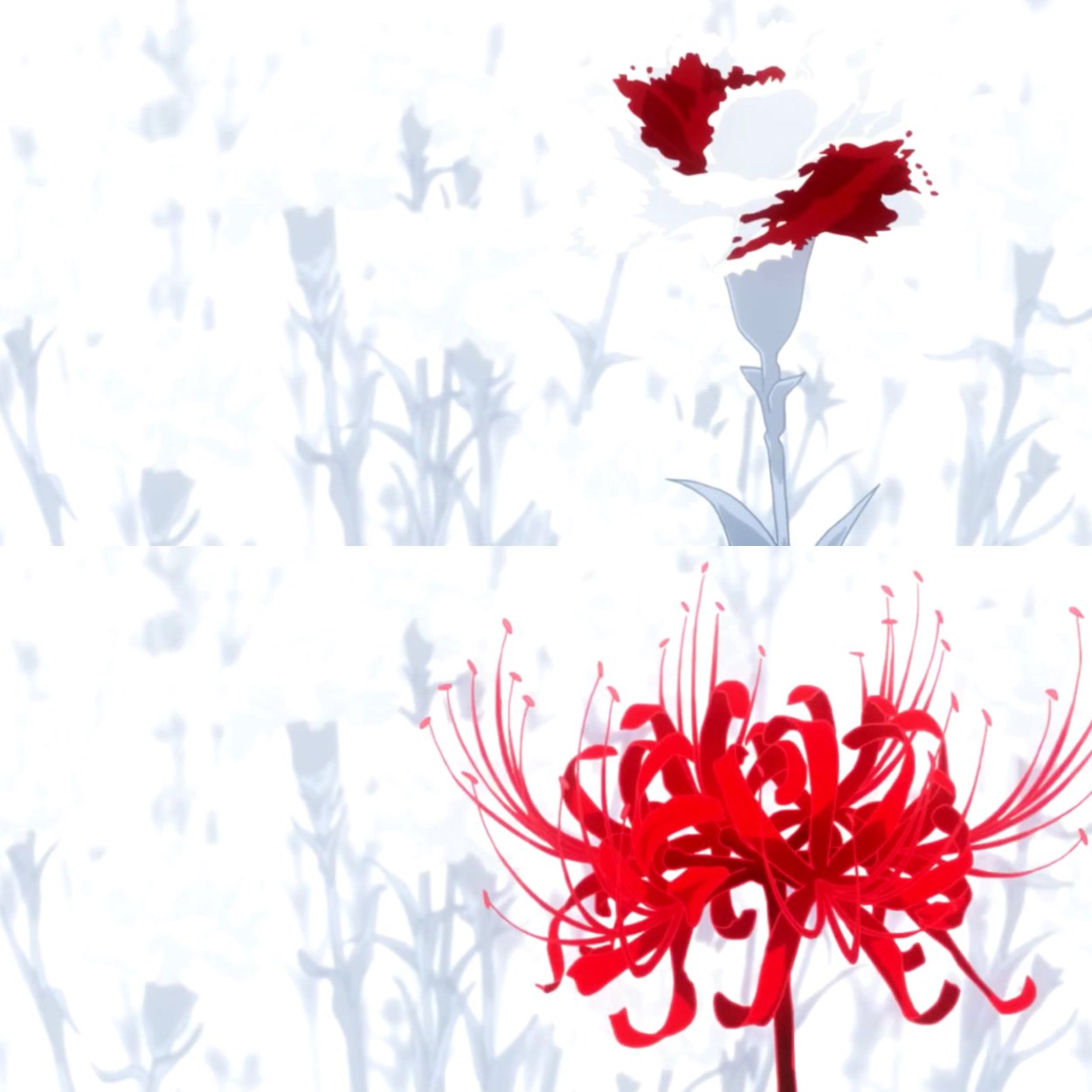 Хиганбана ликорис Токийский гуль