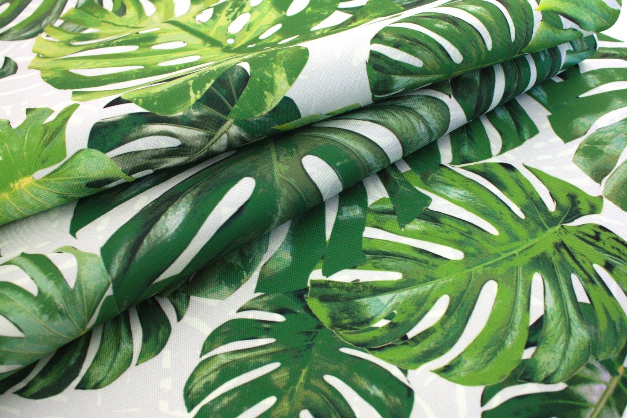 Белфаст Бержер монстера