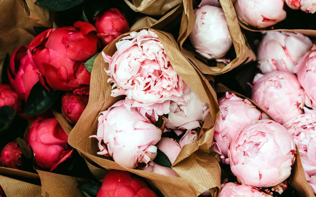 Букет пионов