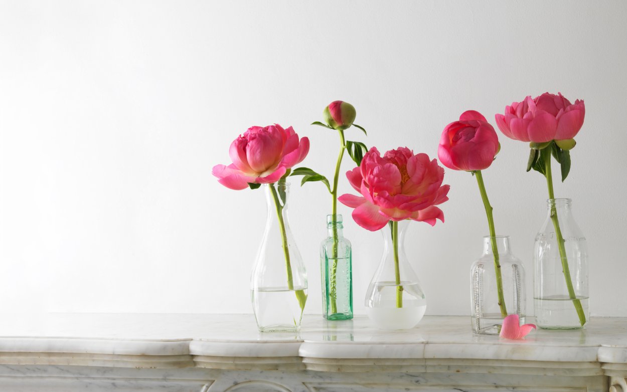 Цветы на столе