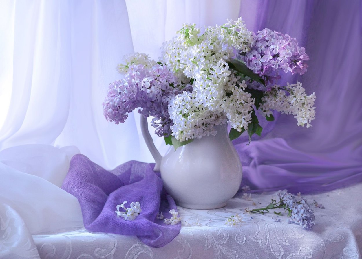 Нежный натюрморт