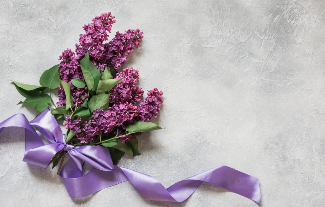 Цветы сирени