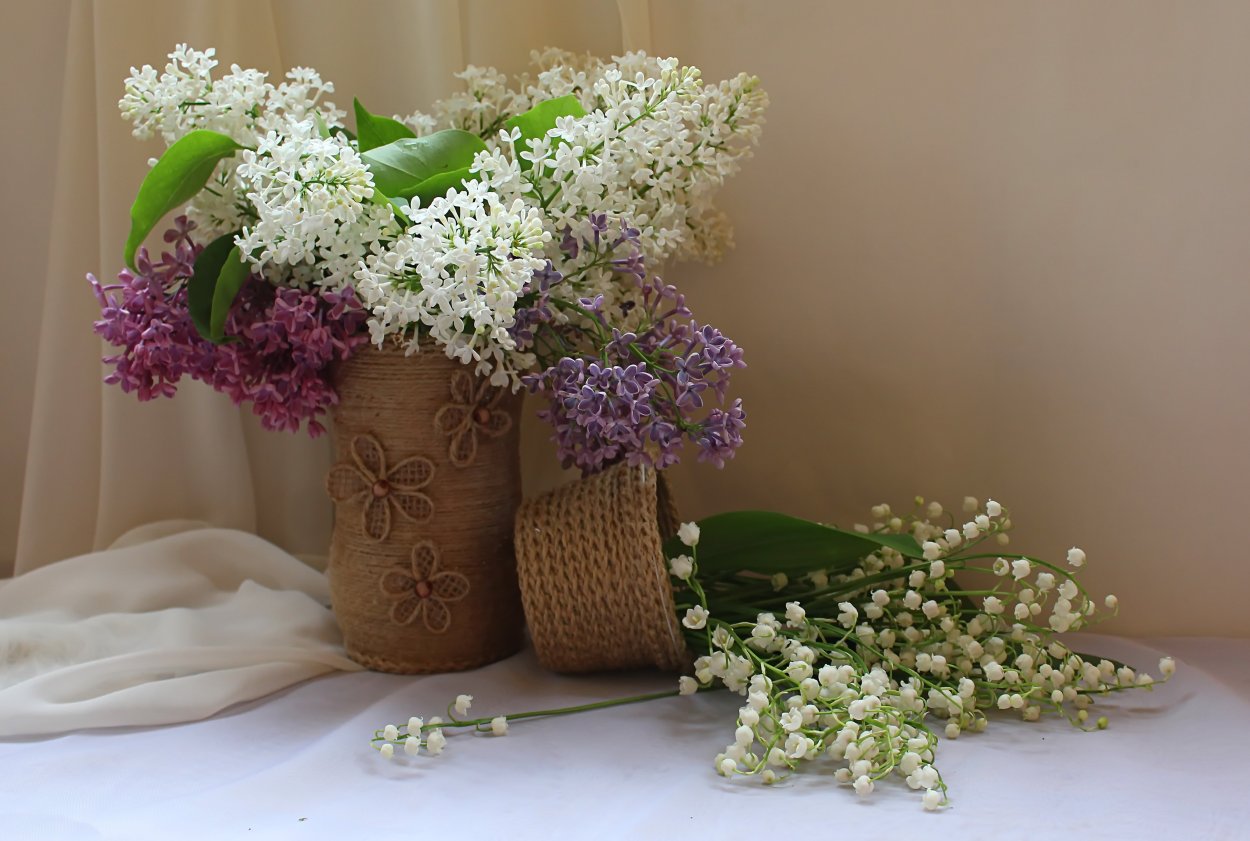 Гарднер сирень Ландыши