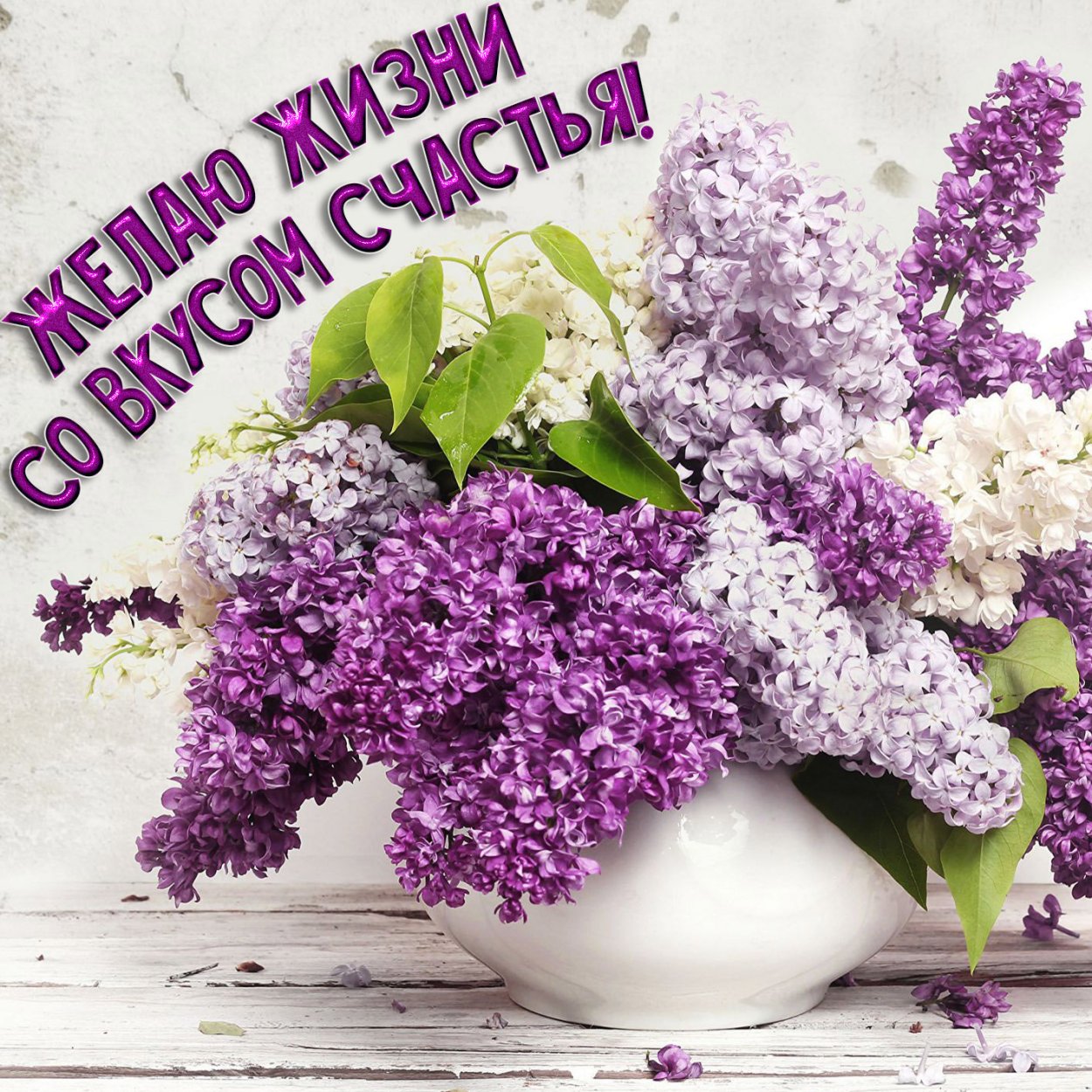 Гарднер сирень Ландыши