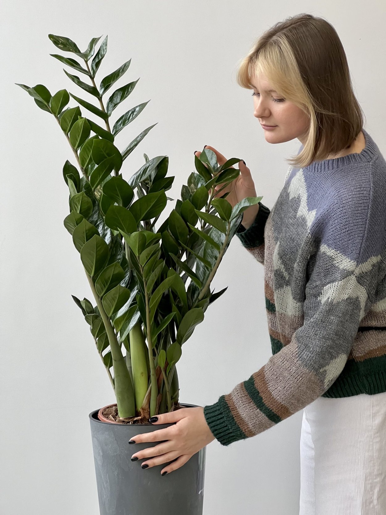 Писает в горшок с растением