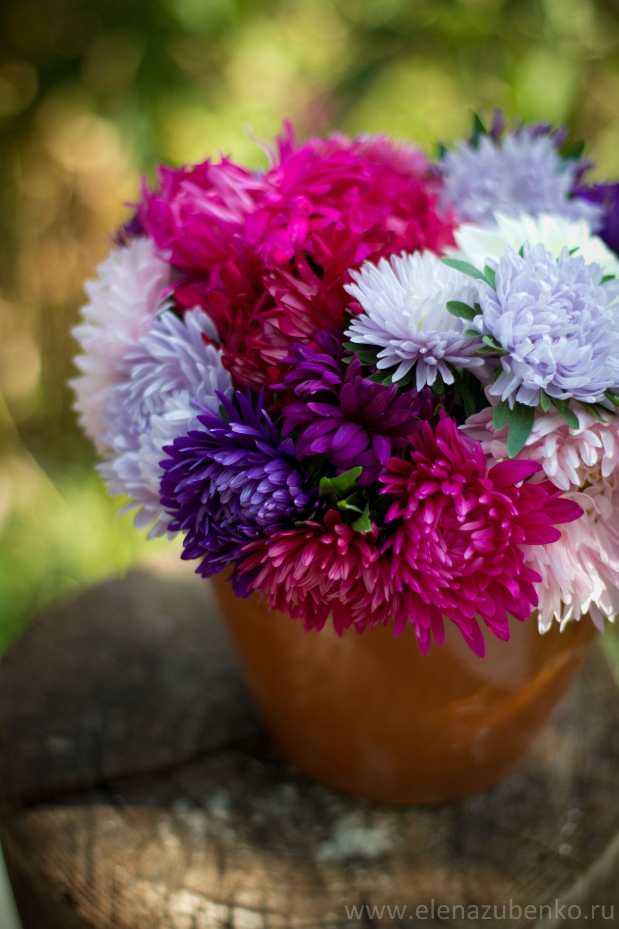 Первосентябрьский букет астр