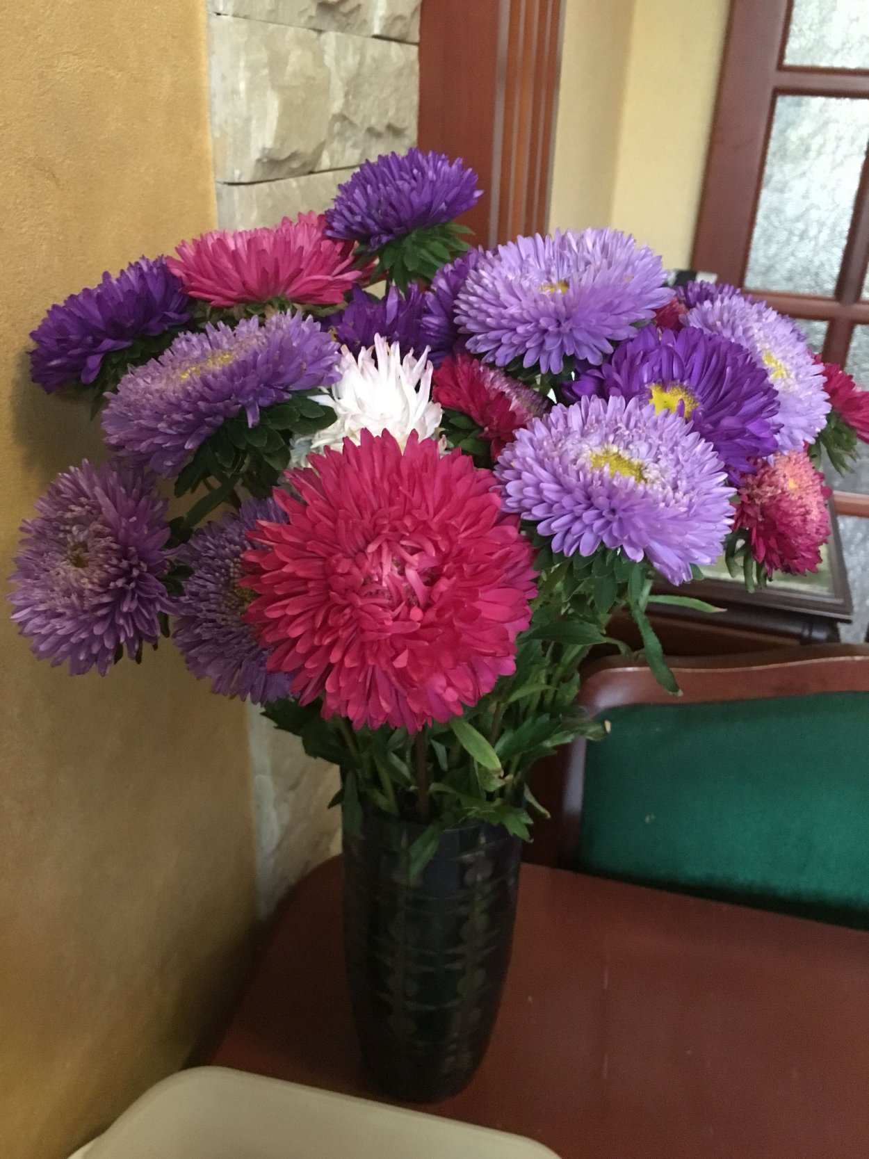 Астра цветок листья