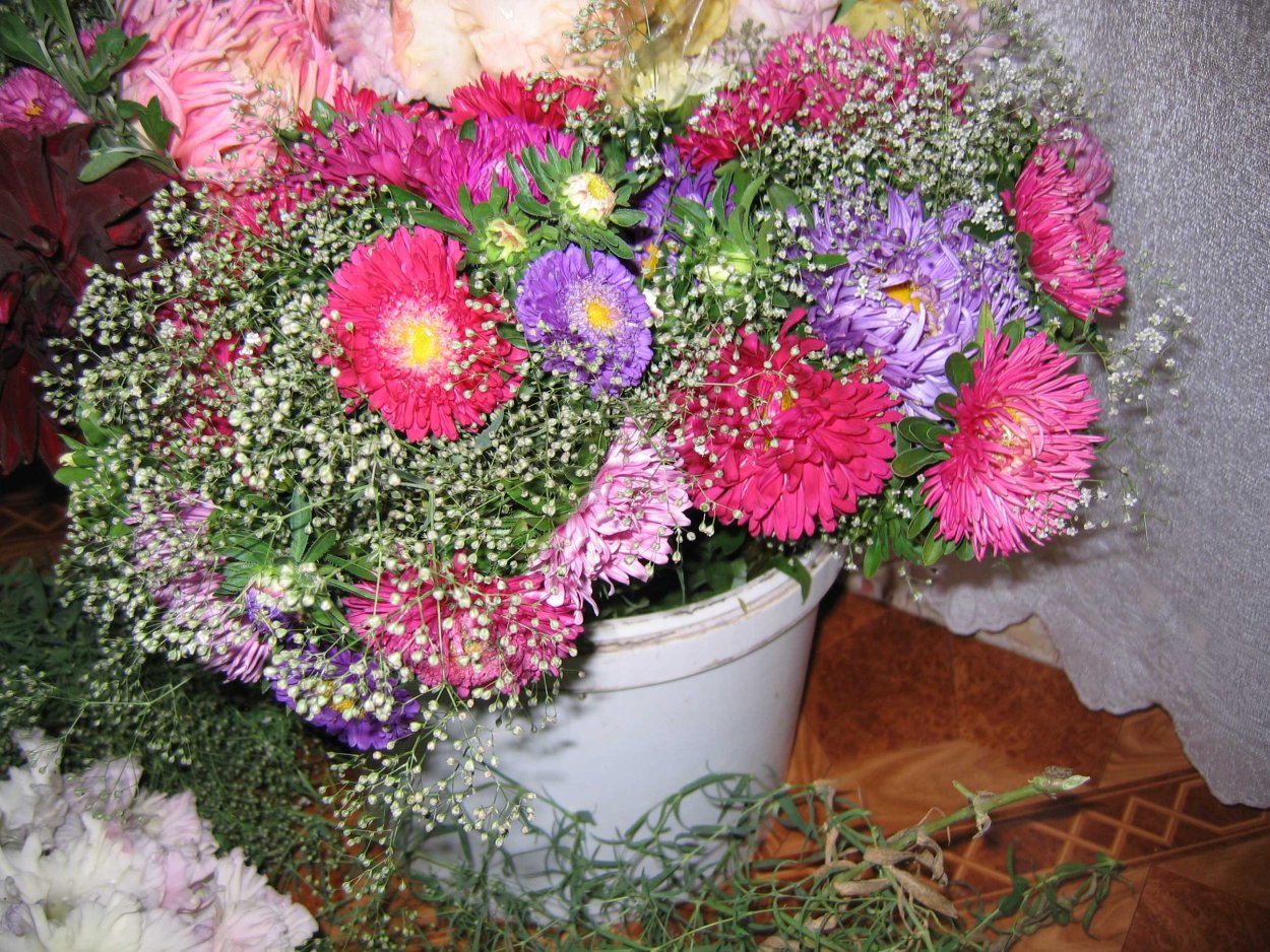 Астра Танечкин букет