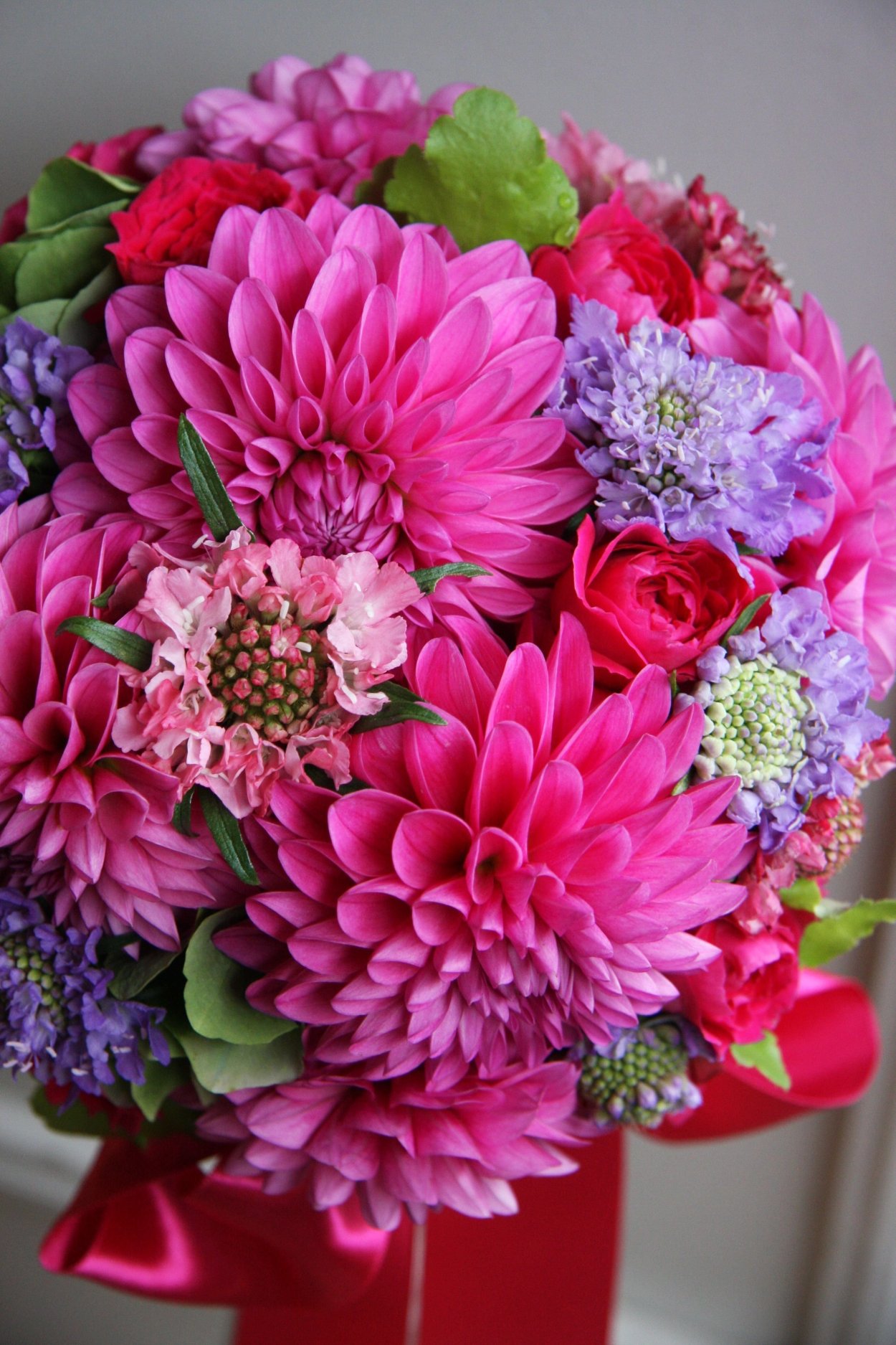 Пионы астры георгины