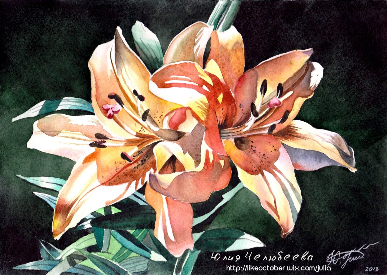 Лилия Макизо