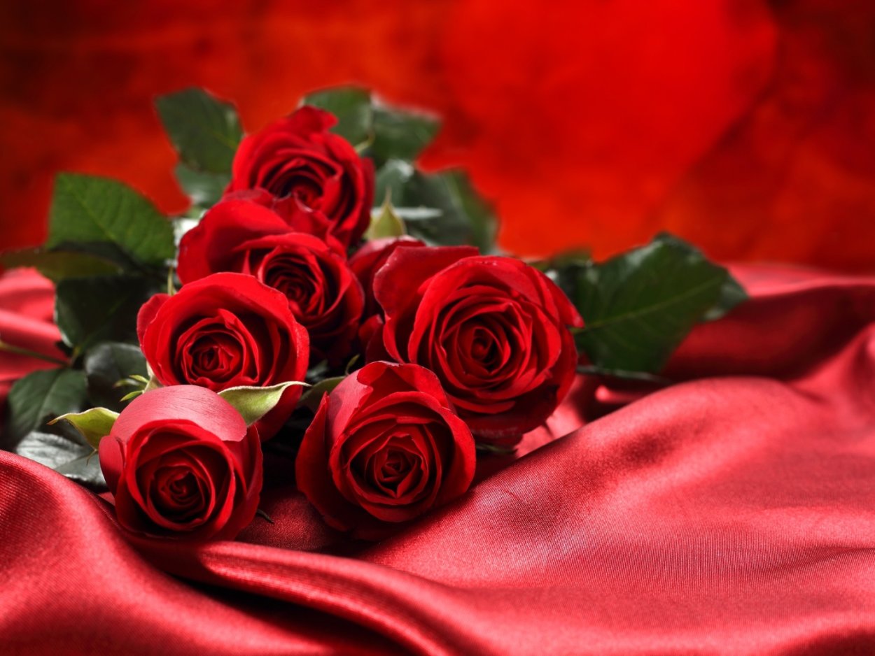 Алые розы