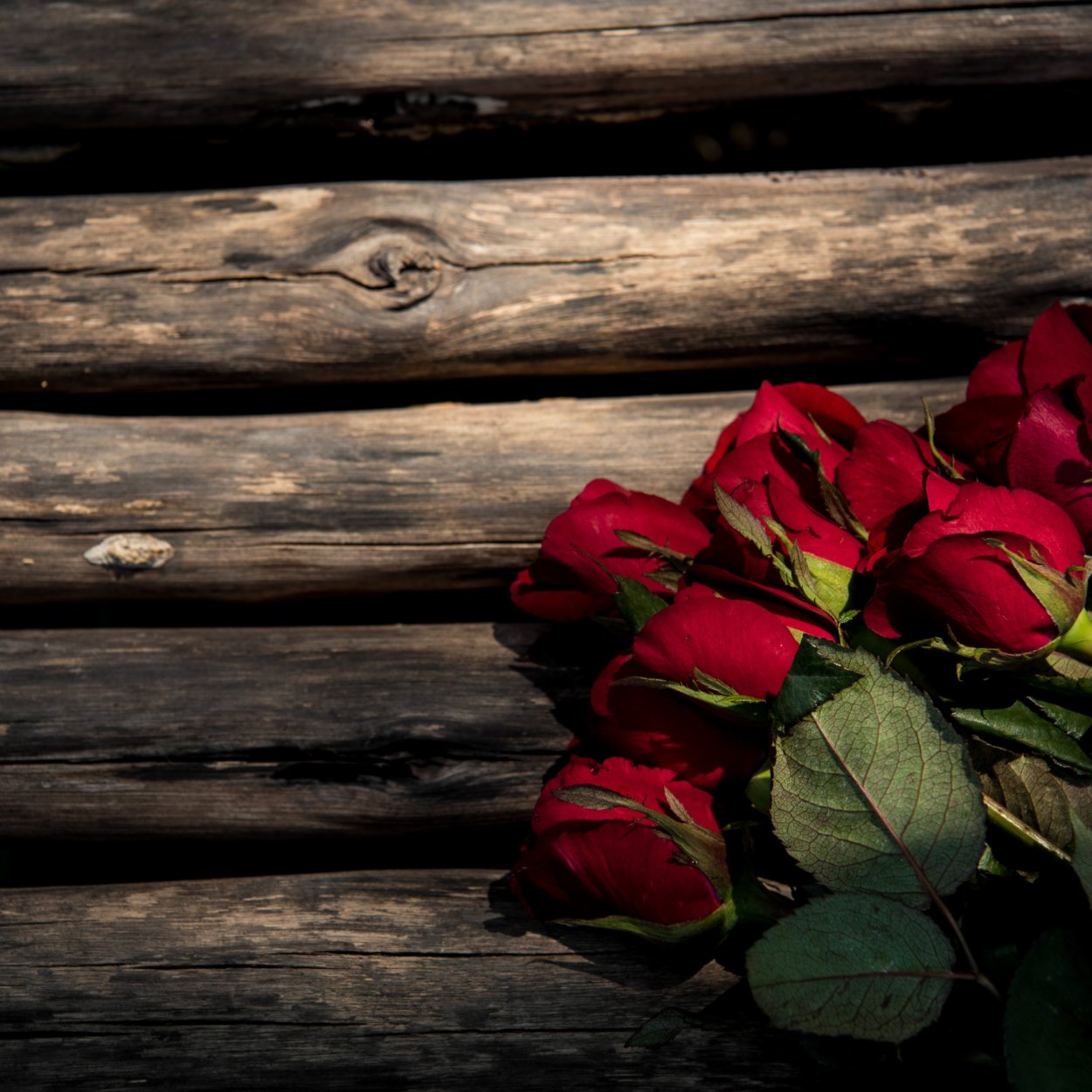 Розы на деревянном столе