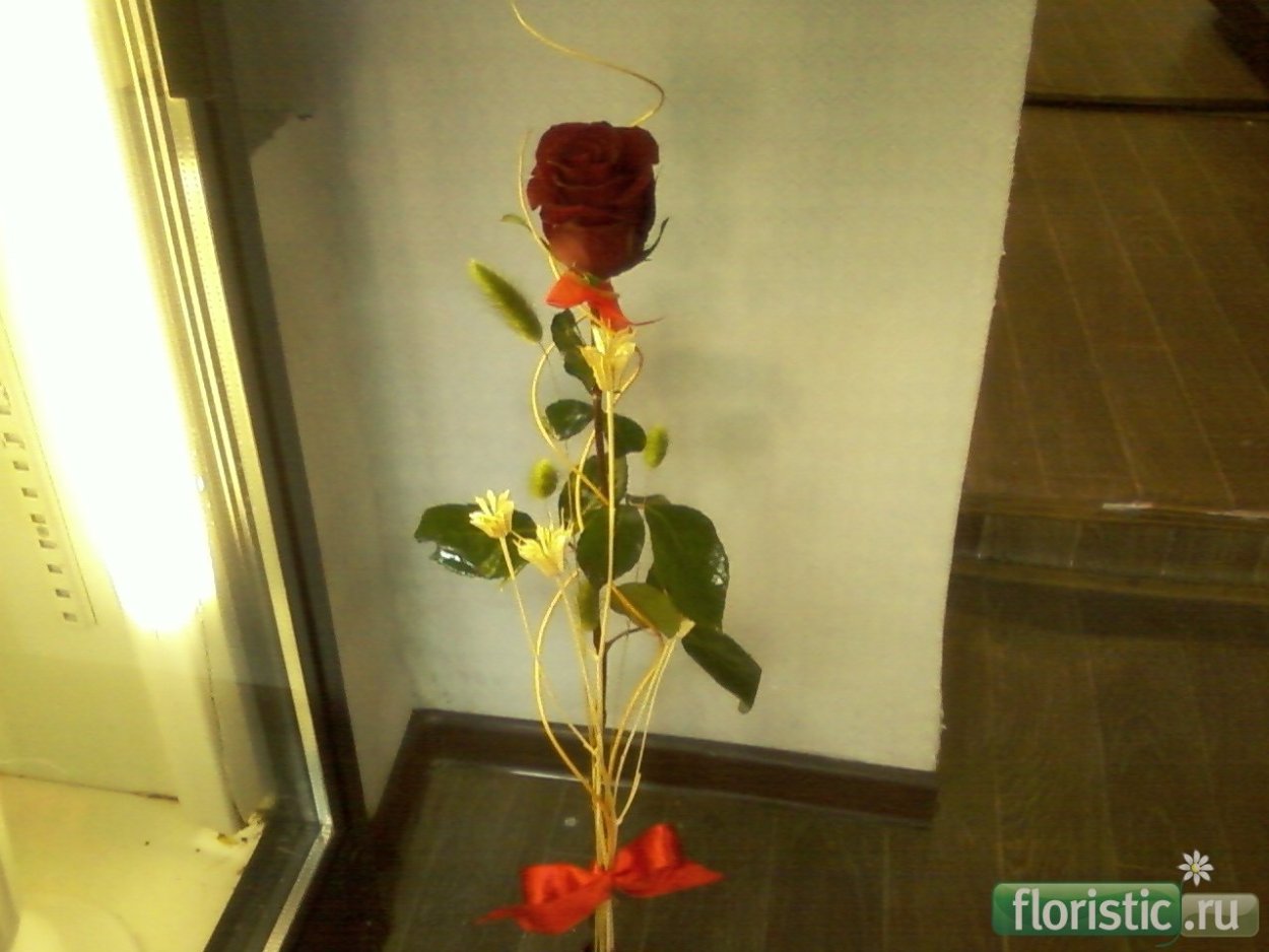 Роза в целлофане