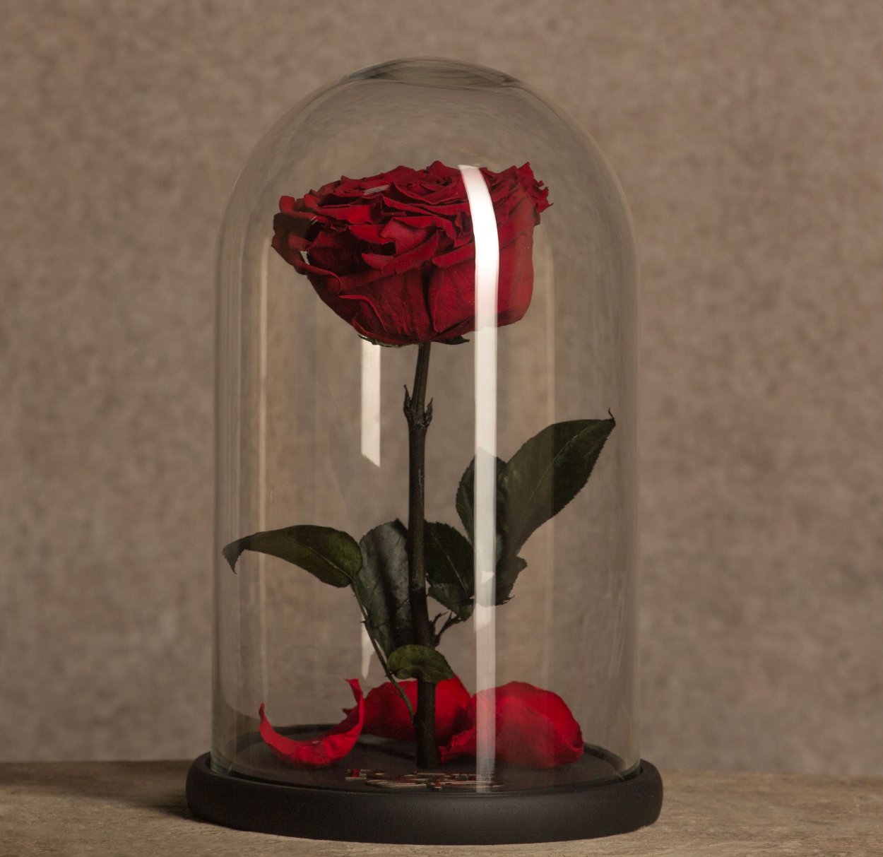 Вечная роза в стеклянной колбе