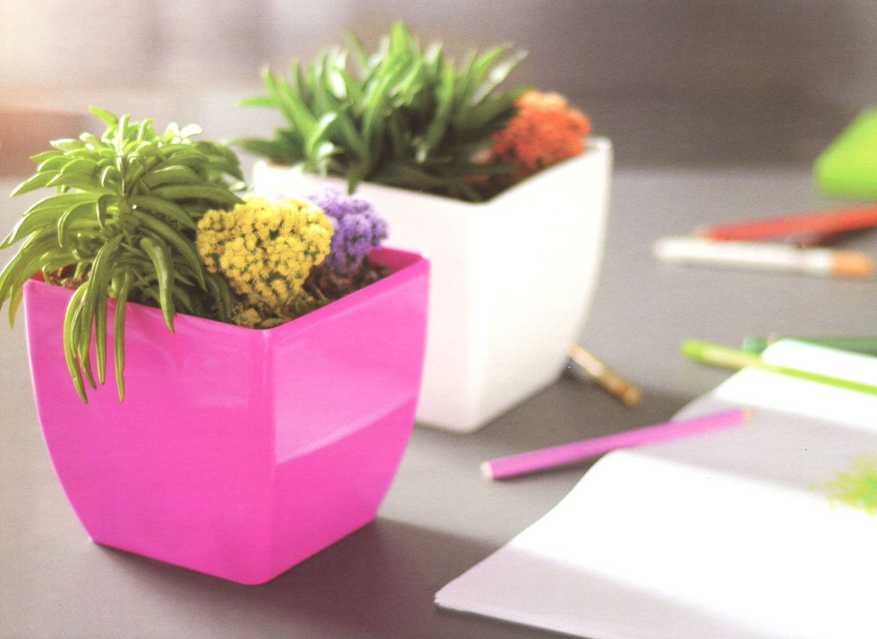 Яркие цветочные горшки в интерьере