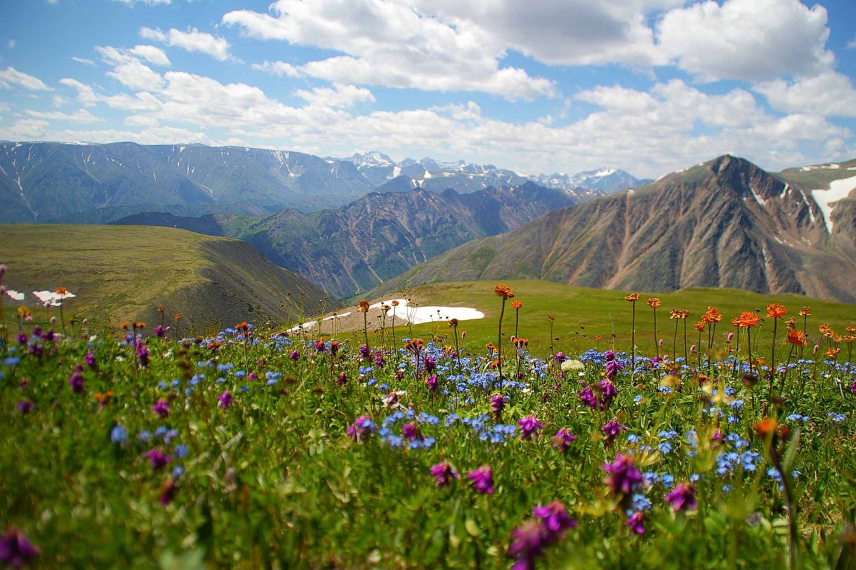 Тункинская Долина Бурятия лето