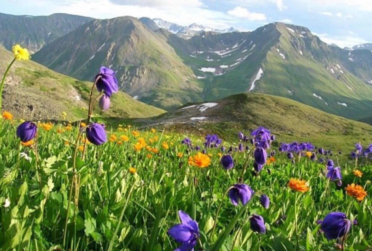 Бурятия Улан-Удэ природа