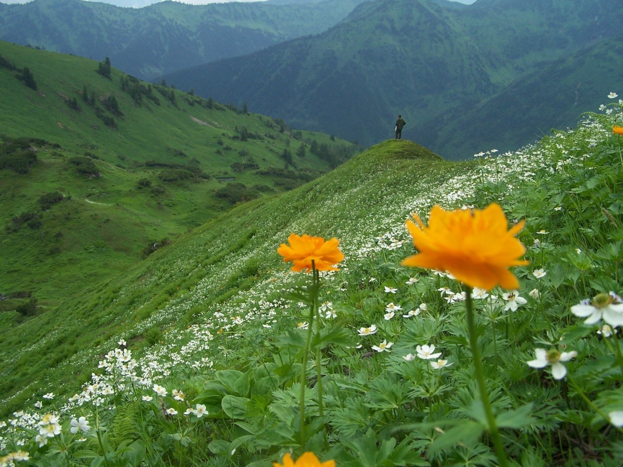 Байкальский биосферный заповедник